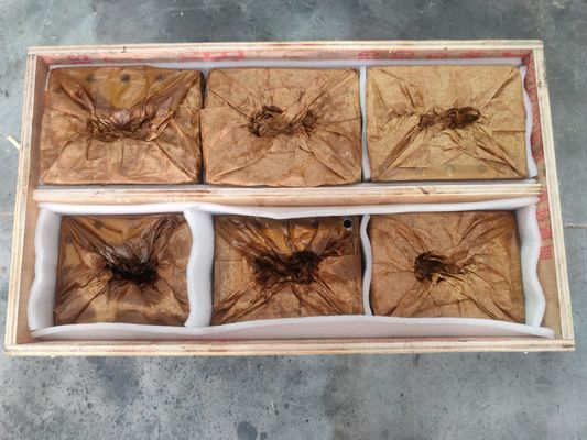 Κοχλίας και Κύλινδρος Εξώθησης για Μηχανή Ανακύκλωσης Πλαστικών