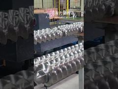 Άξονας Εσωτερικής Σπείρωσης Involute για Δίδυμο Κοχλία Εξωθητήρα για μηχανή 65mm